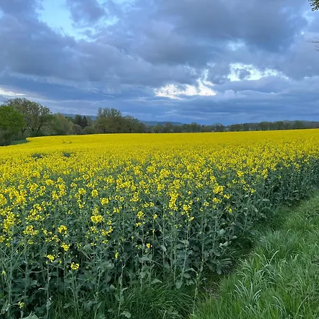 Gemuetliche Dachgeschosswohnung Auf Dem Land 아파트 블롬베르그