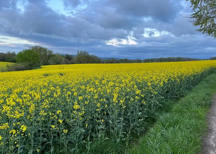 Gemuetliche Dachgeschosswohnung Auf Dem Land 公寓 布隆贝格