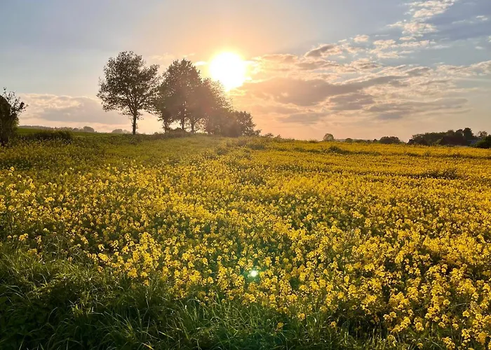 Gemuetliche Dachgeschosswohnung Auf Dem Land * 布隆贝格